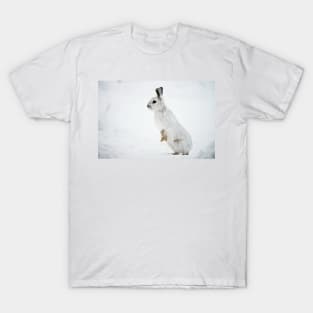 Snow Shoe Hare T-Shirt